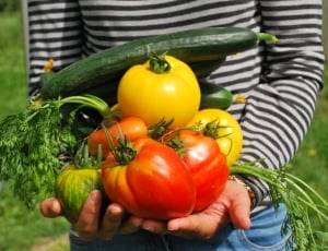 person holding variety of vegetables thumbnail