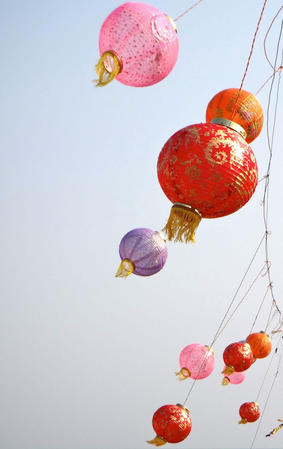 assorted color paper lantern photograph preview