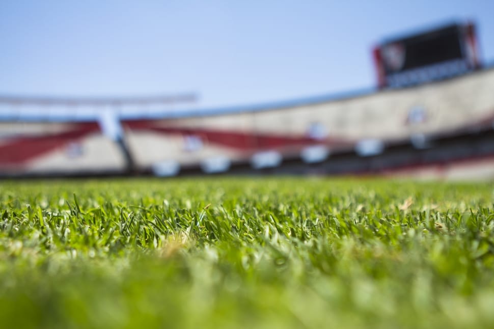 close up photography of grass field under clear sky during daytime preview