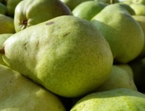 green pear fruit lot thumbnail