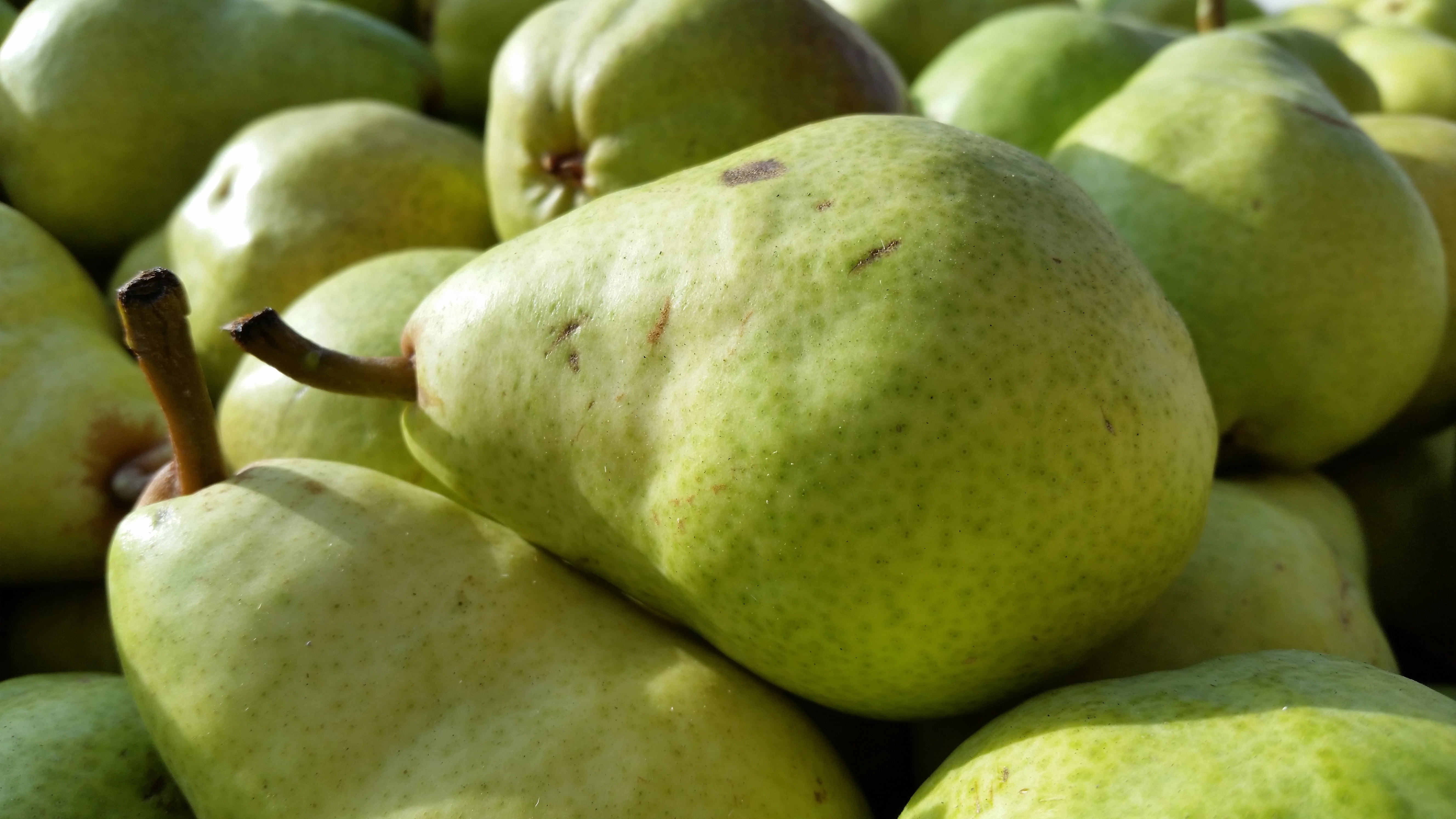 green pear fruit lot