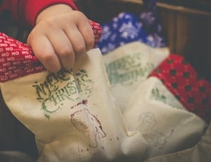 Merry Christmas printed bags thumbnail