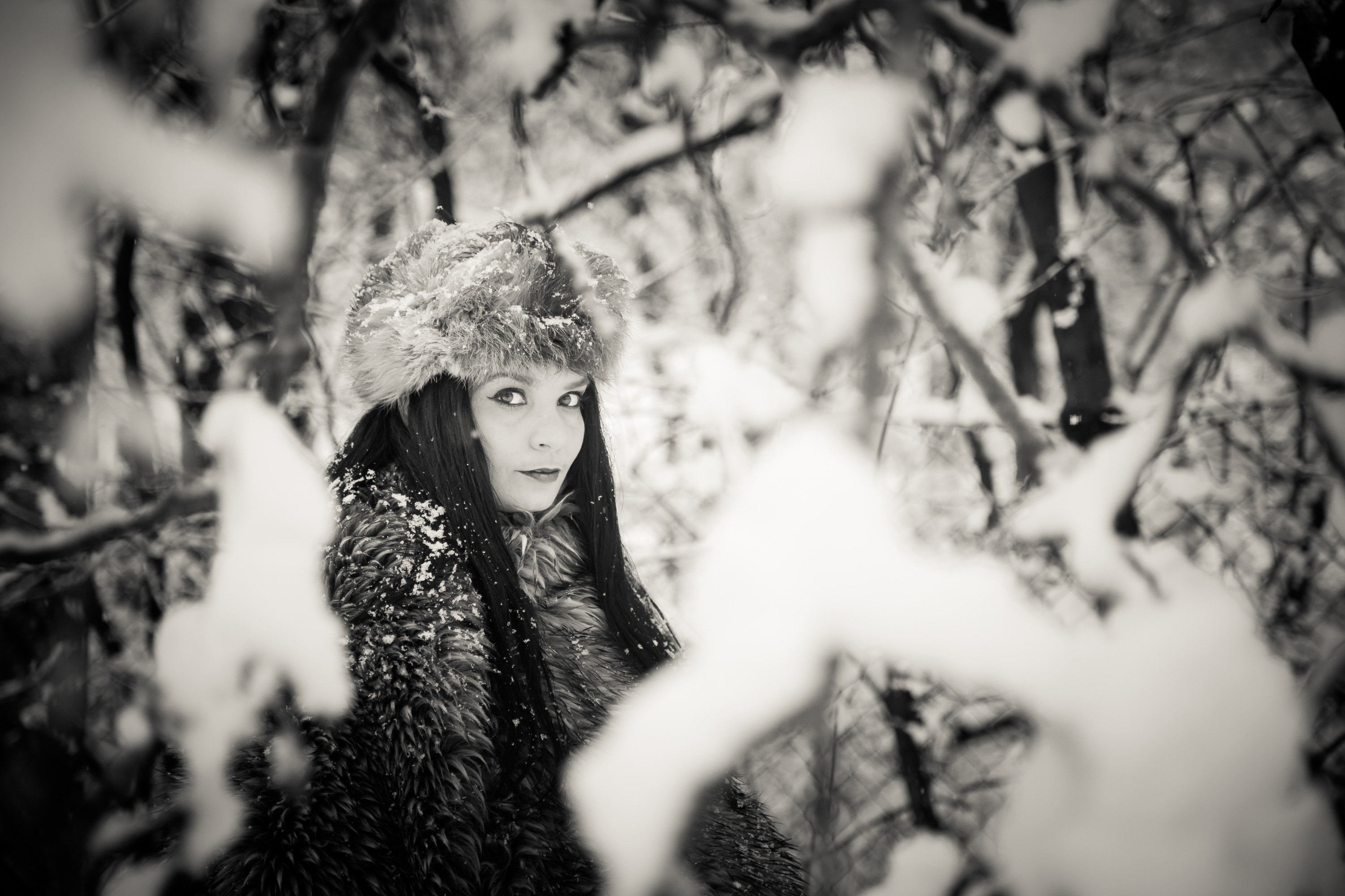 Какую ждем зиму. Девушка в зимнем лесу. Девушка в снегу. Фотосессия в белом и черном зимой. Зимняя фотосессия в черном.