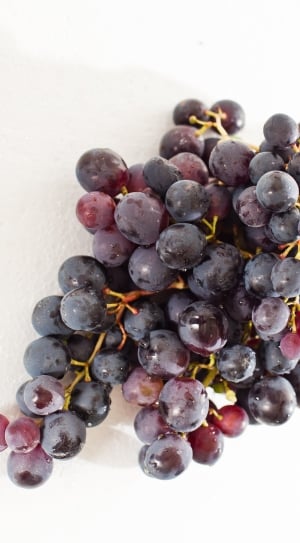close up photo of grape fruits thumbnail