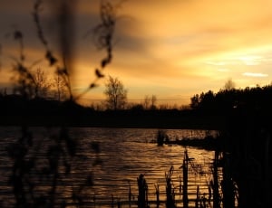 silhouette photo of river thumbnail