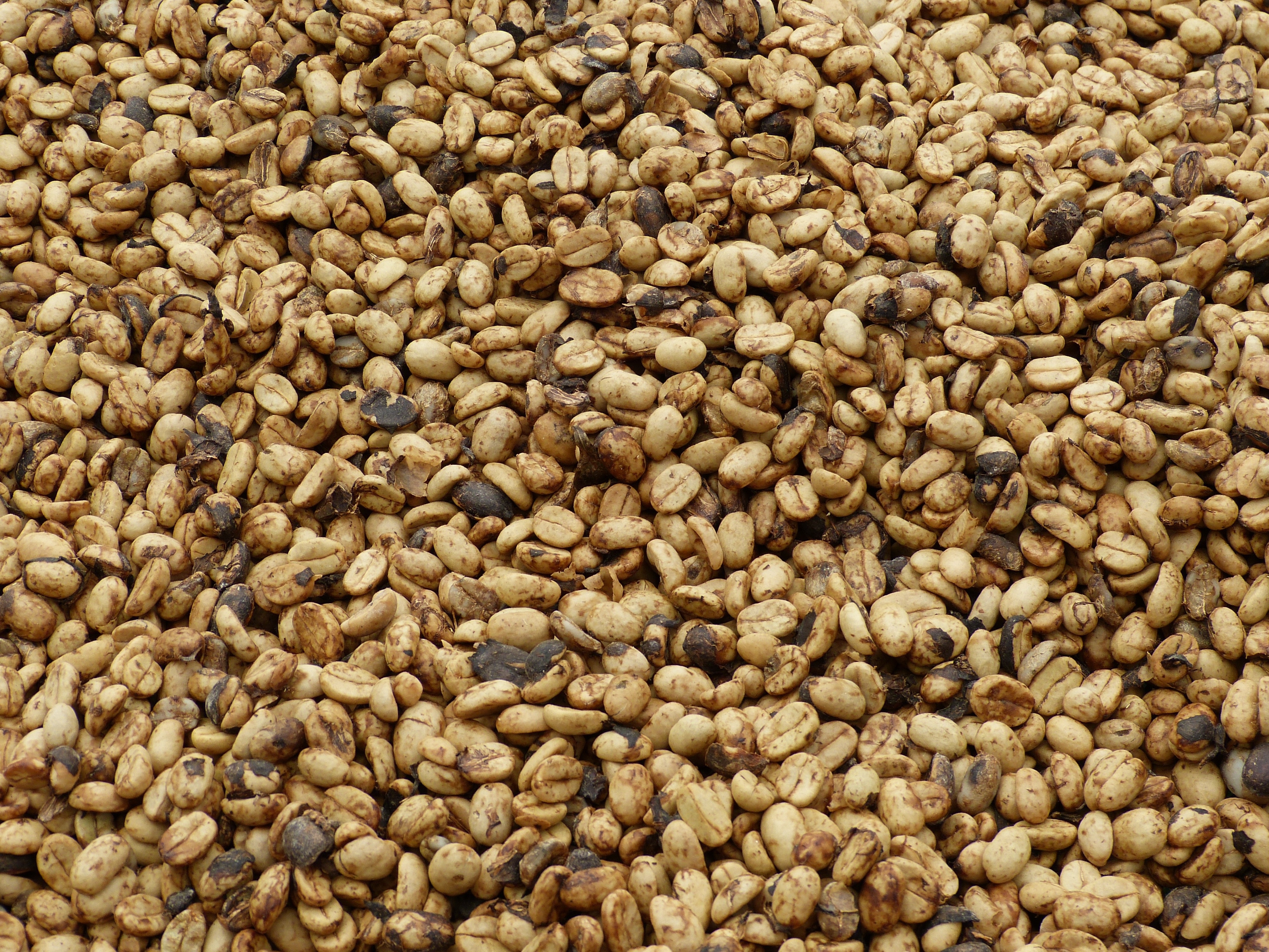 brown coffee beans