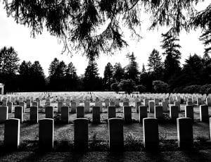 gray scale photograph of cemetery thumbnail