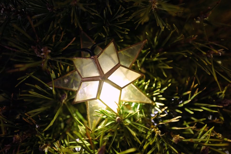 christmas, tree, lights, decoration, christmas, christmas tree preview