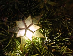 christmas, tree, lights, decoration, christmas, christmas tree thumbnail