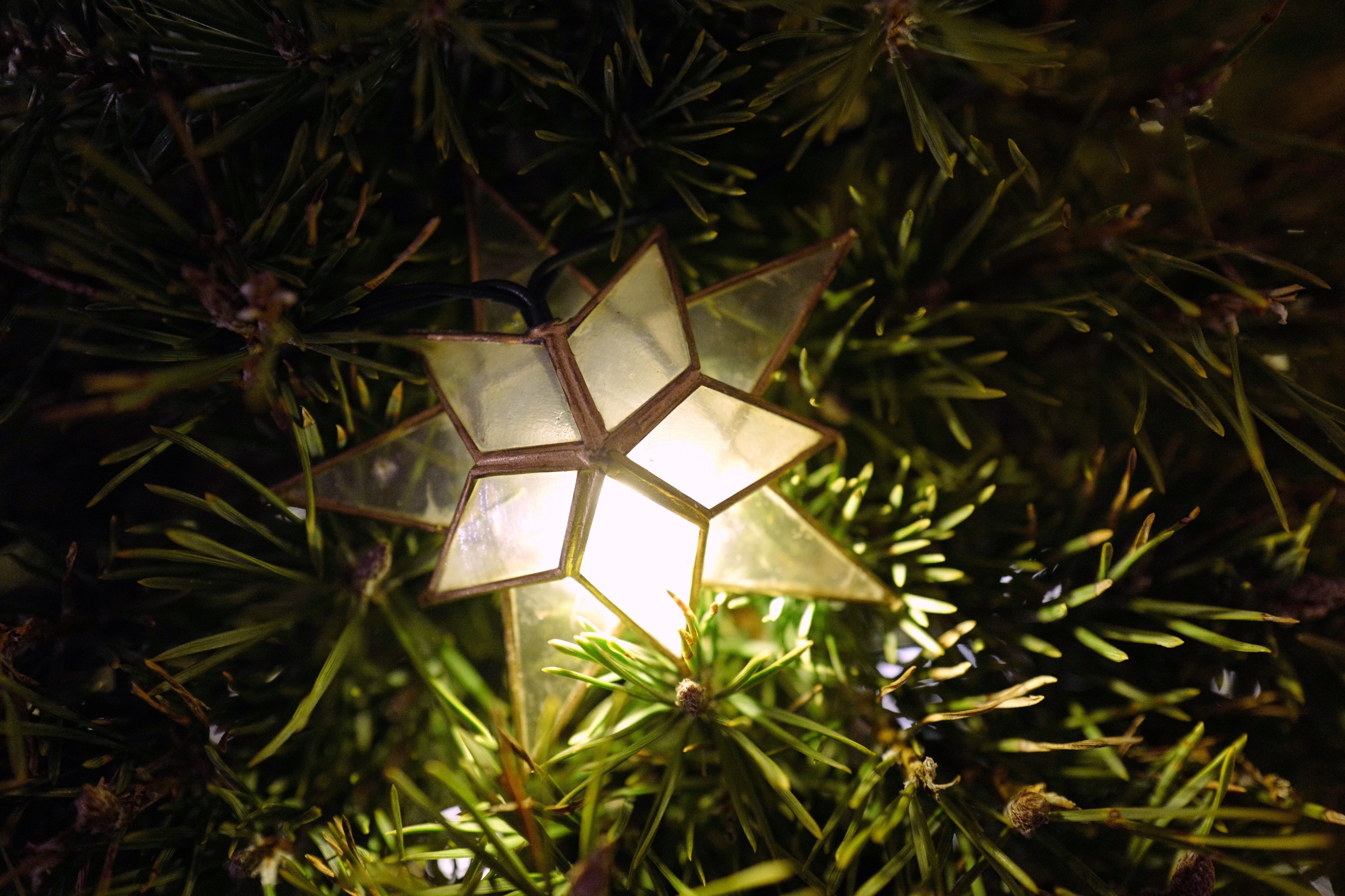 christmas, tree, lights, decoration, christmas, christmas tree
