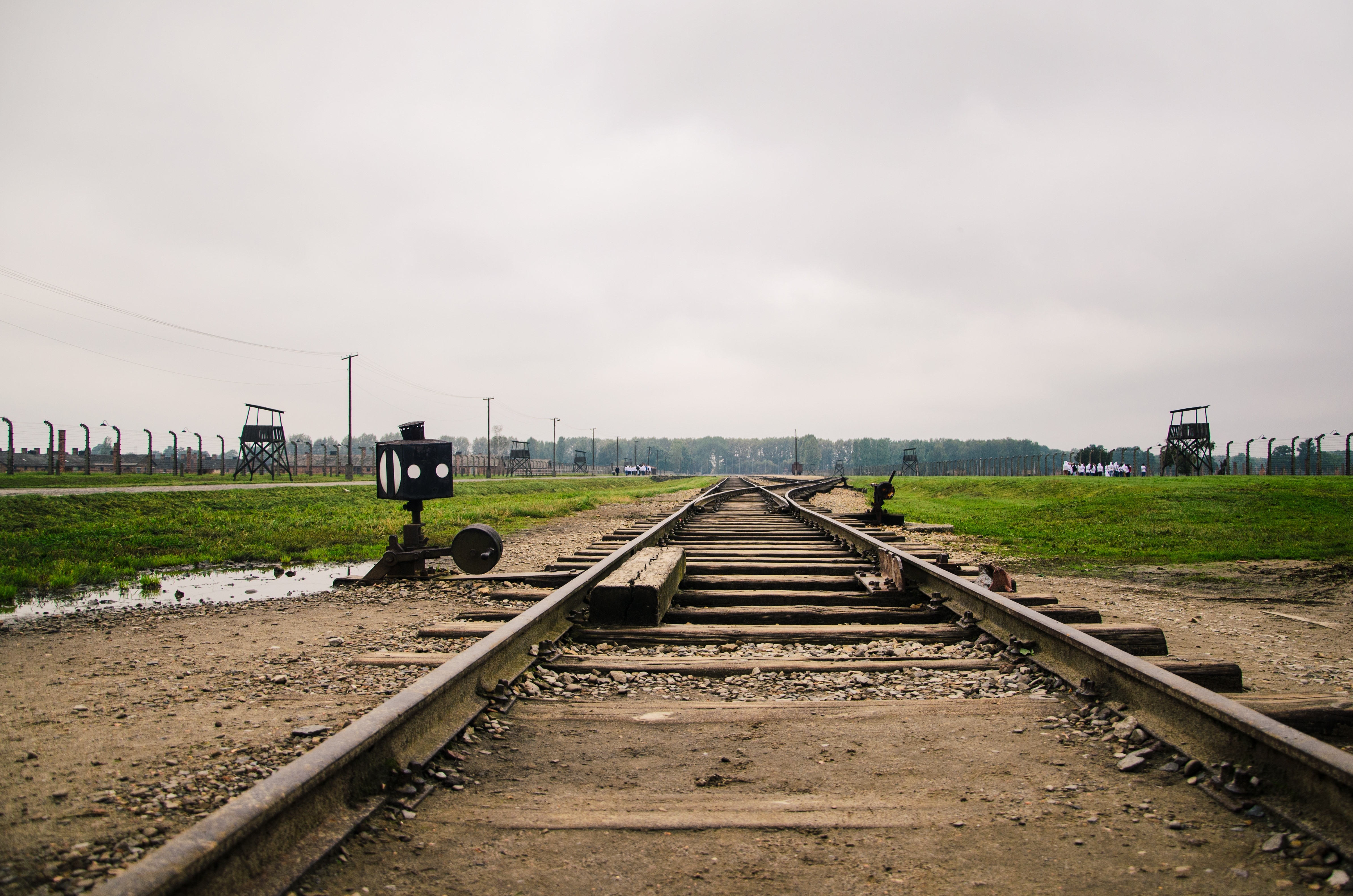 Train, Rail, Birkenau, Auschwitz, railroad track, vanishing point
