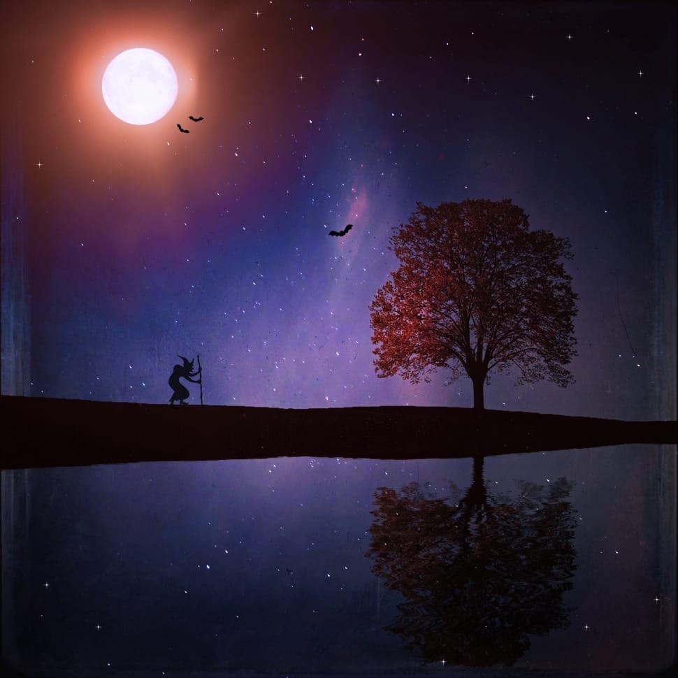 Trees Under Moon Painting Free Image Peakpx