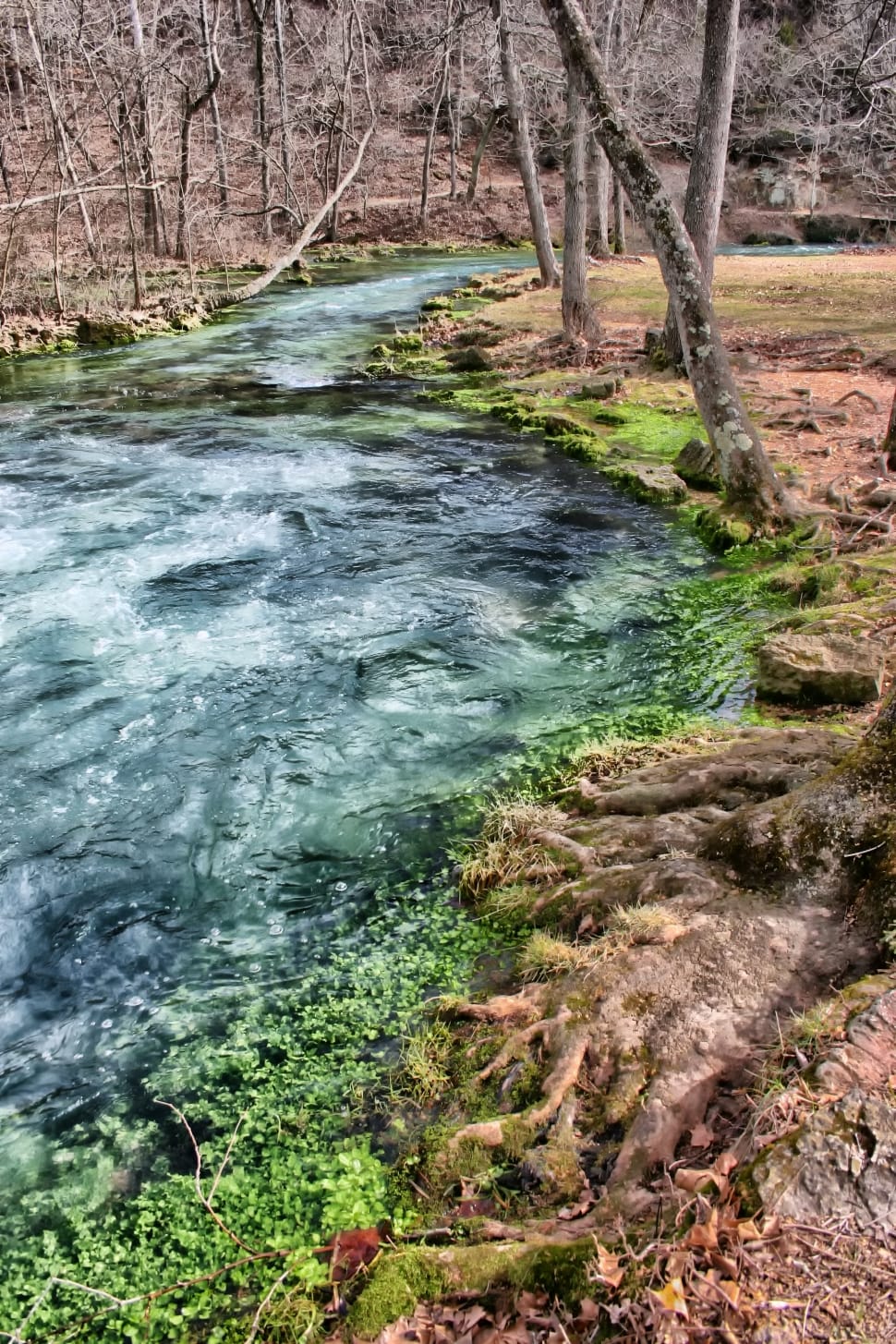 Missouri, Creek, Water, Stream, Trees, water, nature preview