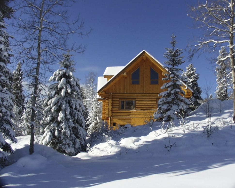 brown wooden house beside pine trees photo preview