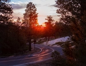 asphalt road between green trees under sunset sky thumbnail