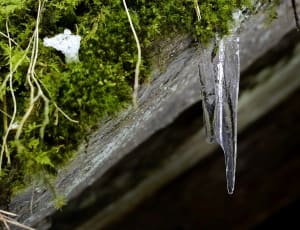 clear icicle thumbnail