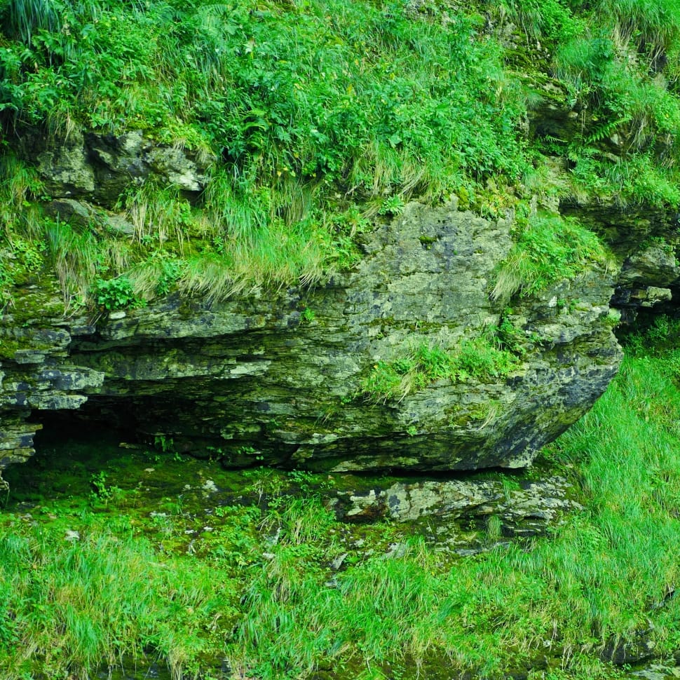 Green, Fouling, Nature, Grass, Rock, reflection, nature preview