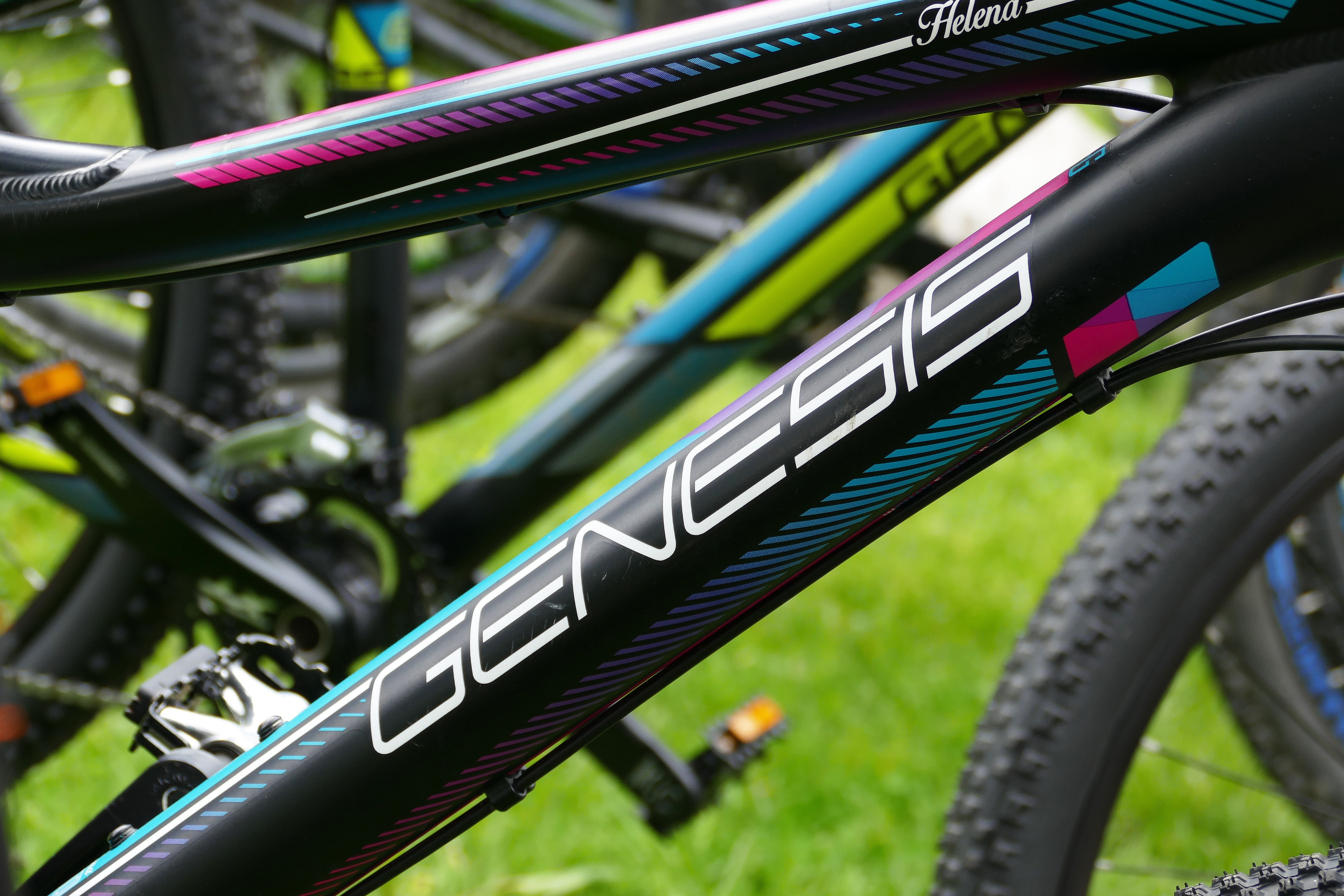 black and blue genesis bicycle frame