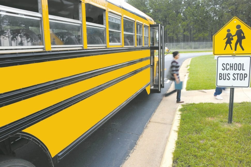 Bus, Girl, School, Vehicle, Schoolbus, yellow, only men preview