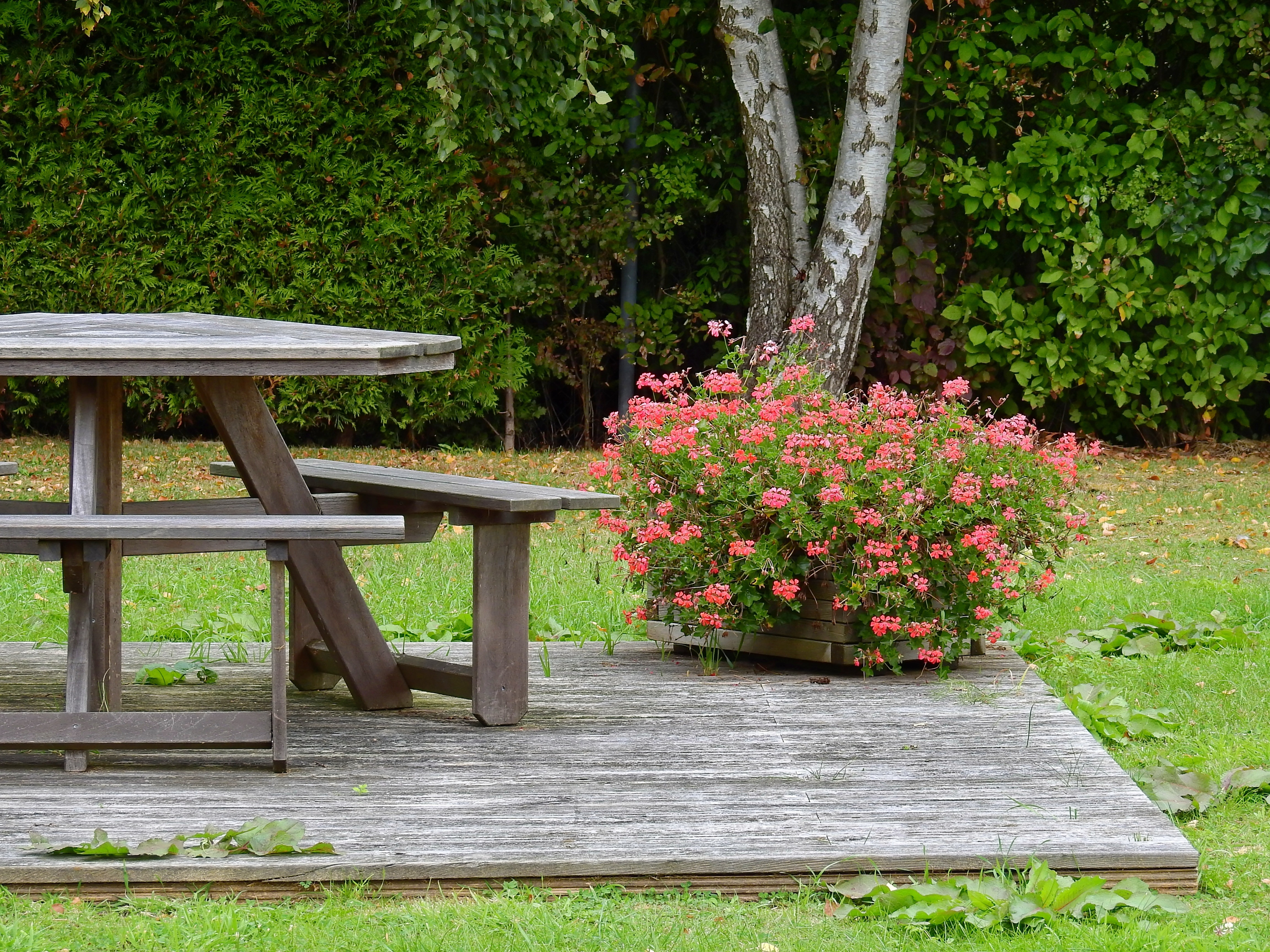 Садовые столики скамейки. Стол уличный со скамьями м1 сп016. Скамейка в саду. Скамейки в ландшафте. Деревянные скамейки для сада.