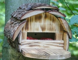 brown wooden bird house thumbnail