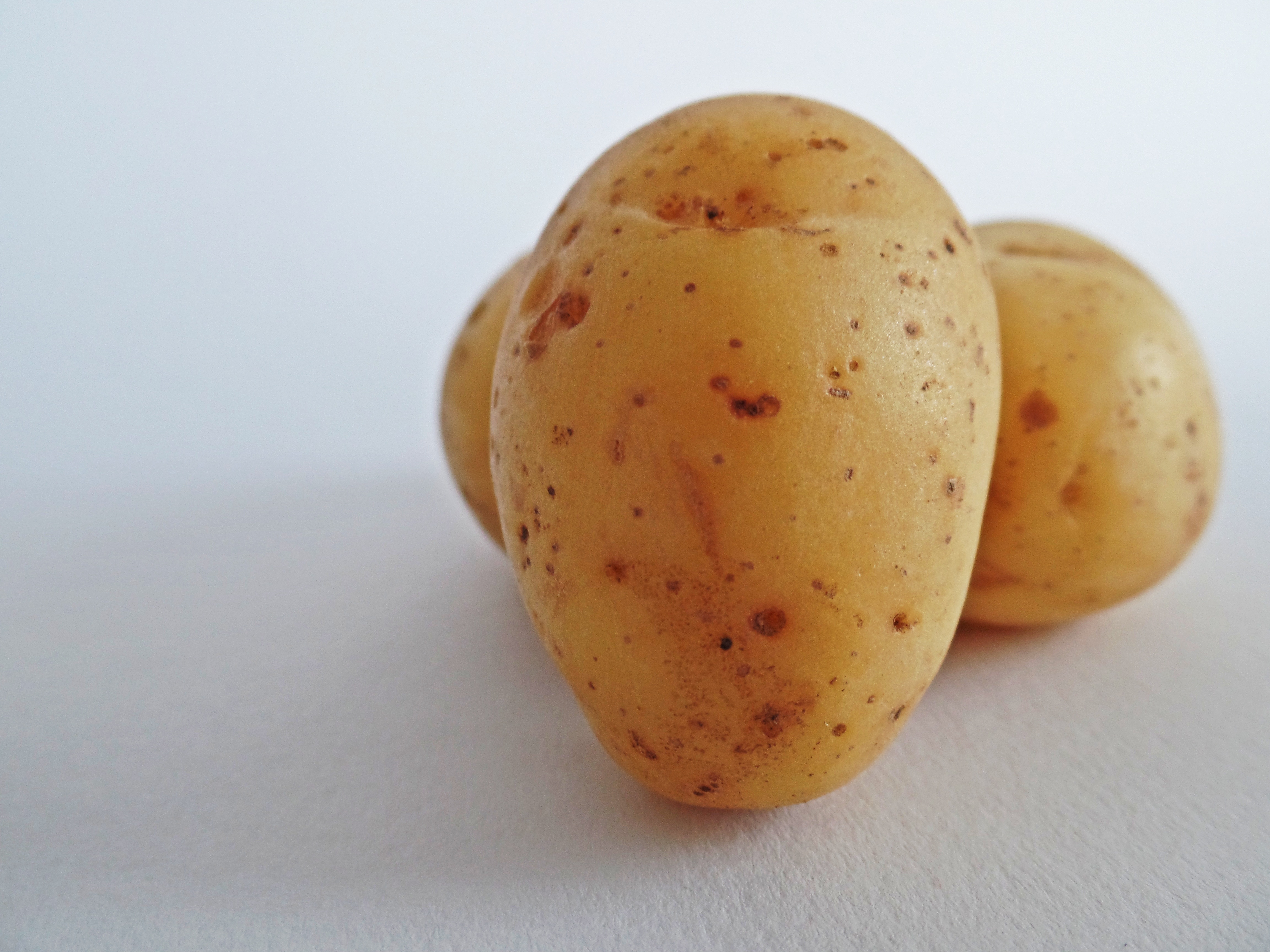Royalty-Free photo: Potato lot