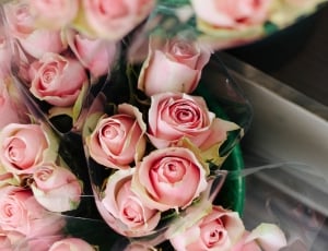 bouquet of pink flowers thumbnail