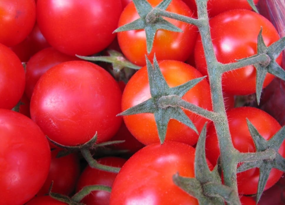 Tomatoes, Vegetarian, Vegetables, Red, red, food and drink preview