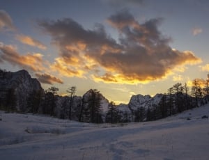 snow covered mountain with trees at golden hour photo thumbnail