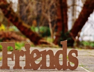 brown wooden friends freestanding letters thumbnail