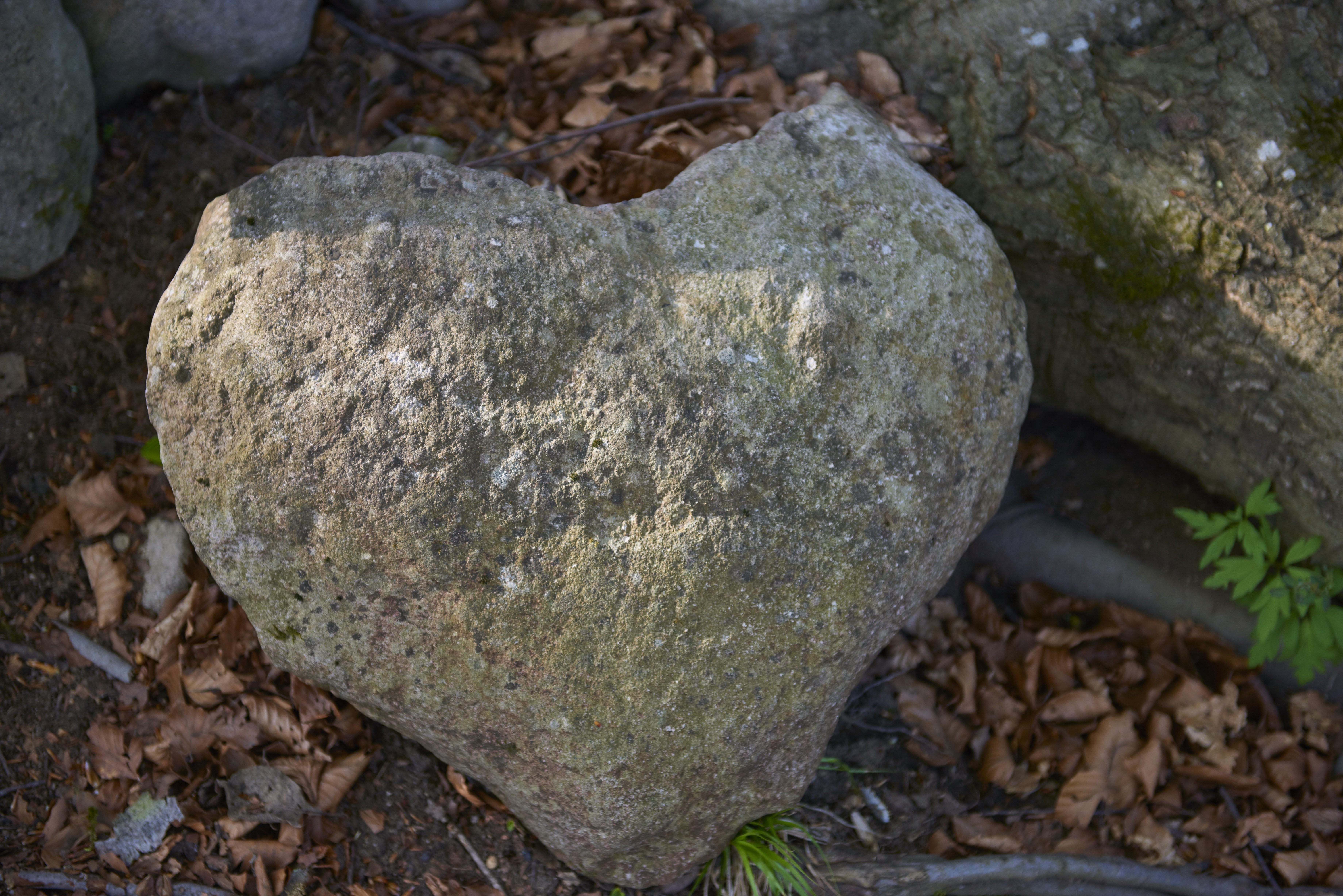 beige heart shape rock