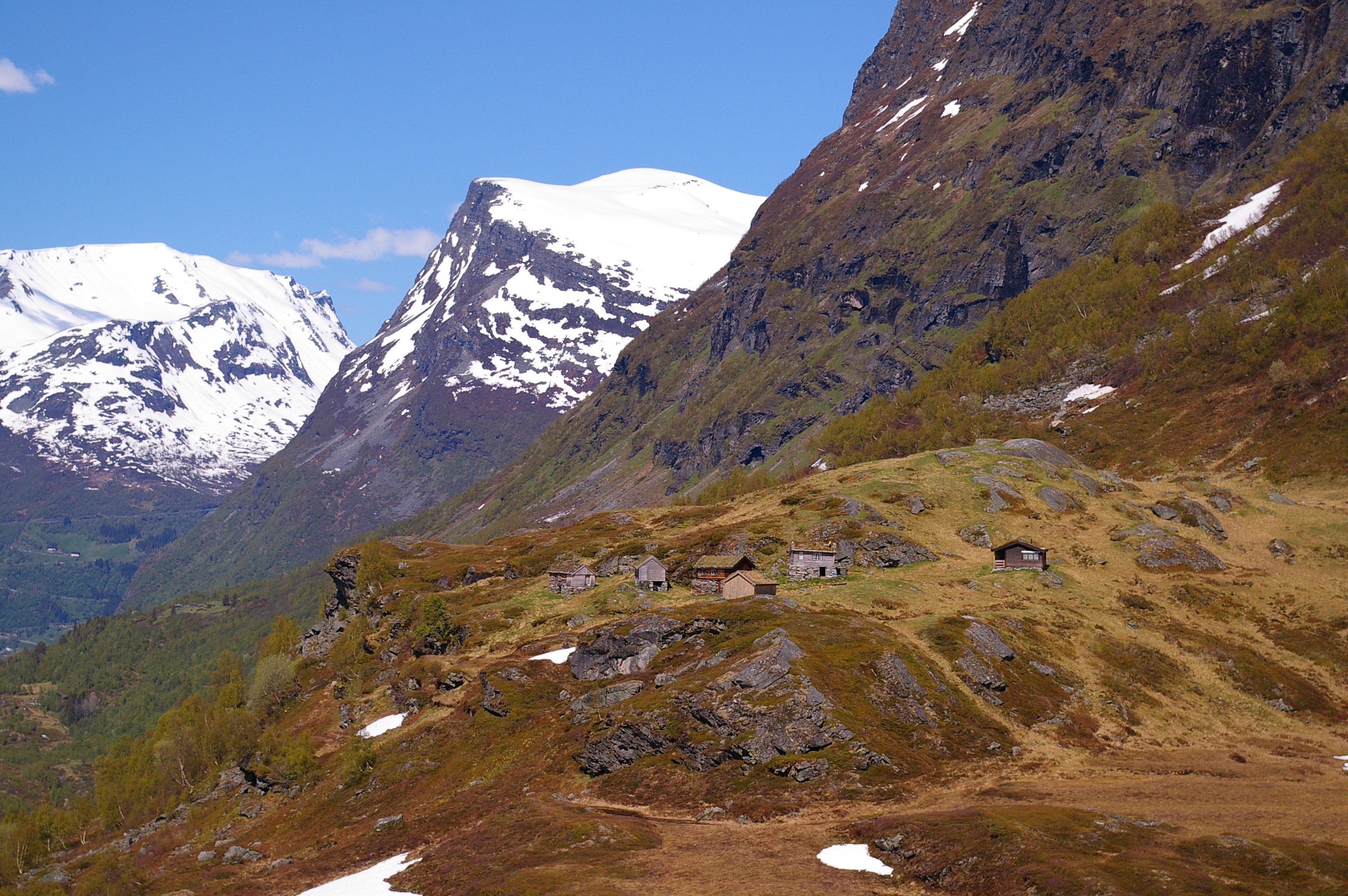 brown and gray houses