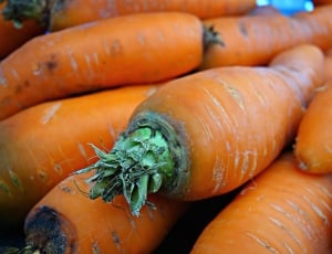 carrot lot thumbnail