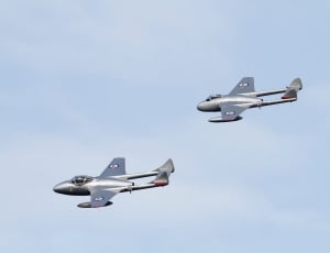 two gray monoplanes thumbnail