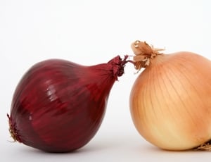 brown and maroon onions thumbnail