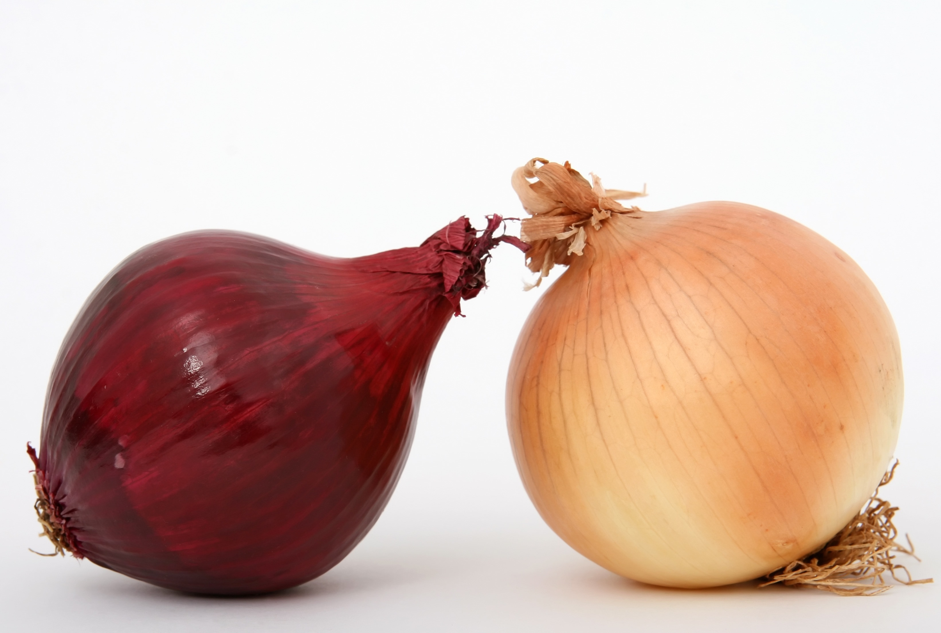 brown and maroon onions