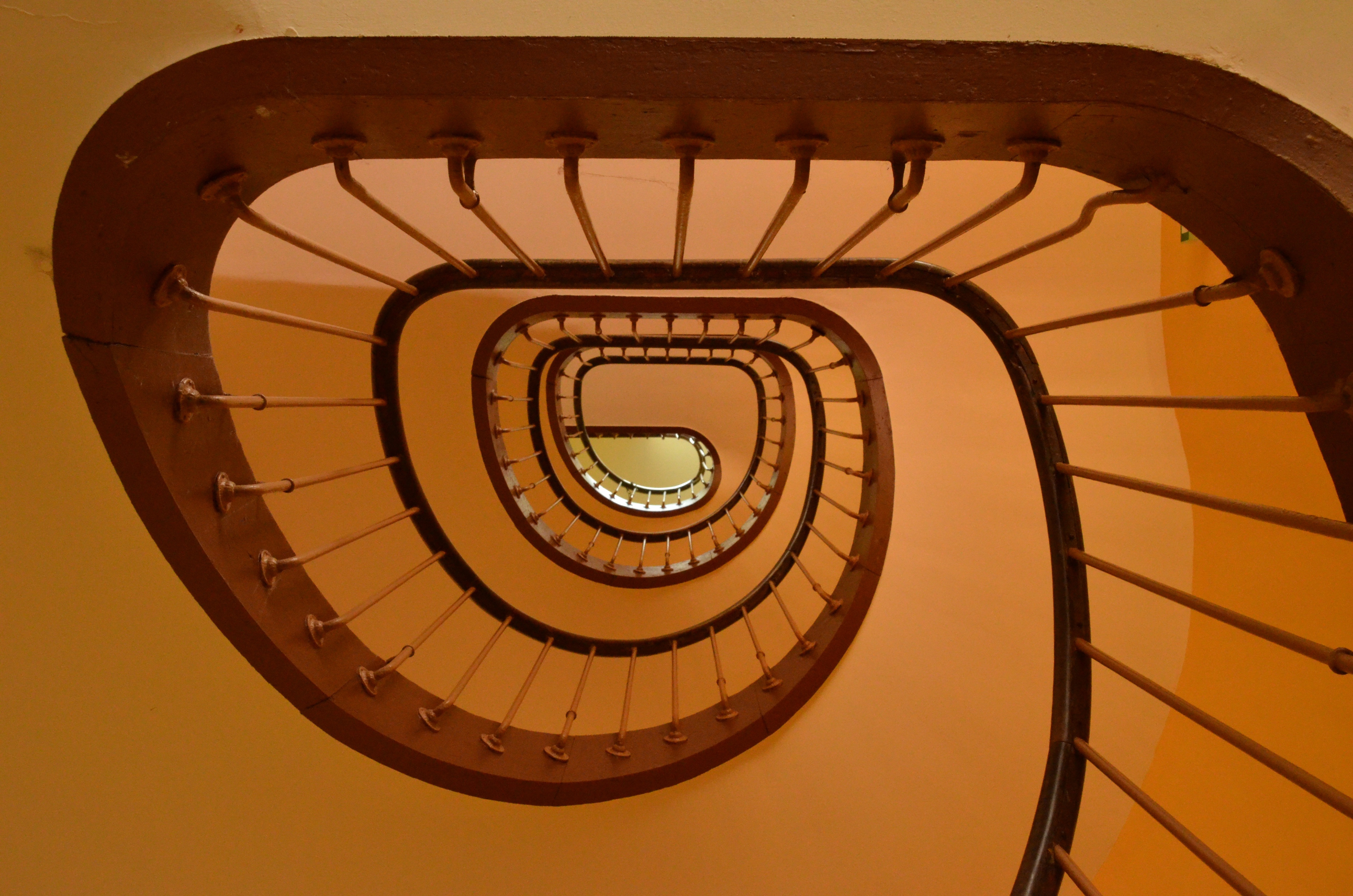 brown wooden spiral stairway