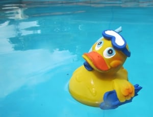 yellow inflatable duck thumbnail