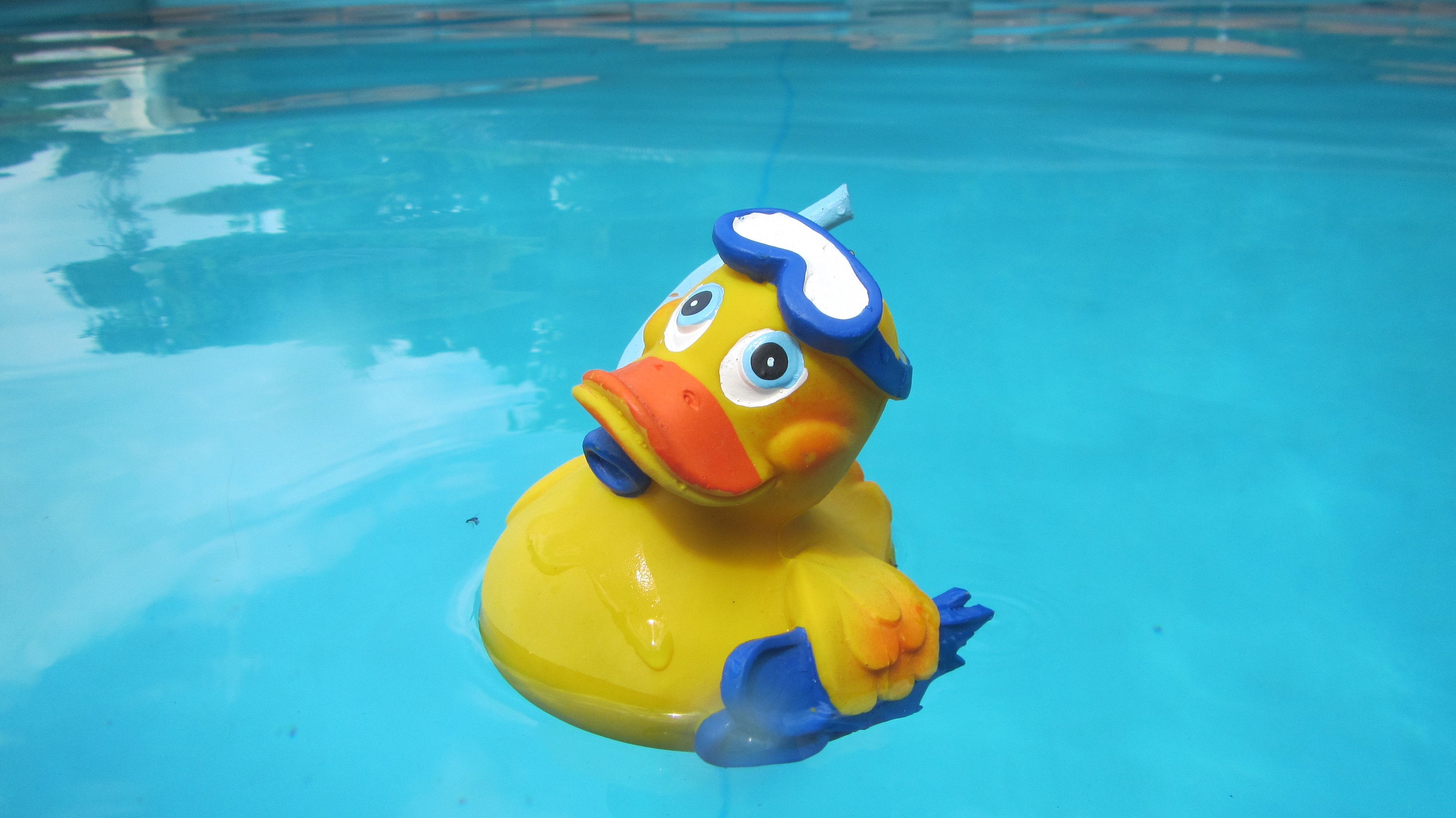 yellow inflatable duck