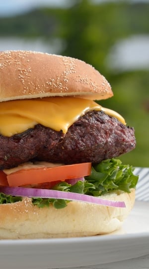 cheeseburger with sliced tomato, sliced onion and lettuce toppings thumbnail