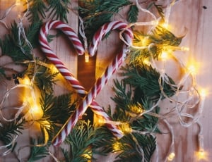 christmas, decoration, lights, holiday, celebration, christmas thumbnail