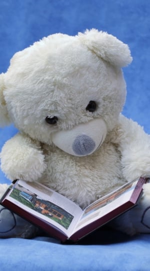 white teddy bear plush toy reading book thumbnail