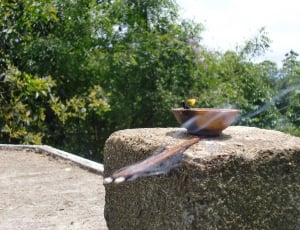 Incense Stick, Incense, Stick, Fire, day, outdoors thumbnail