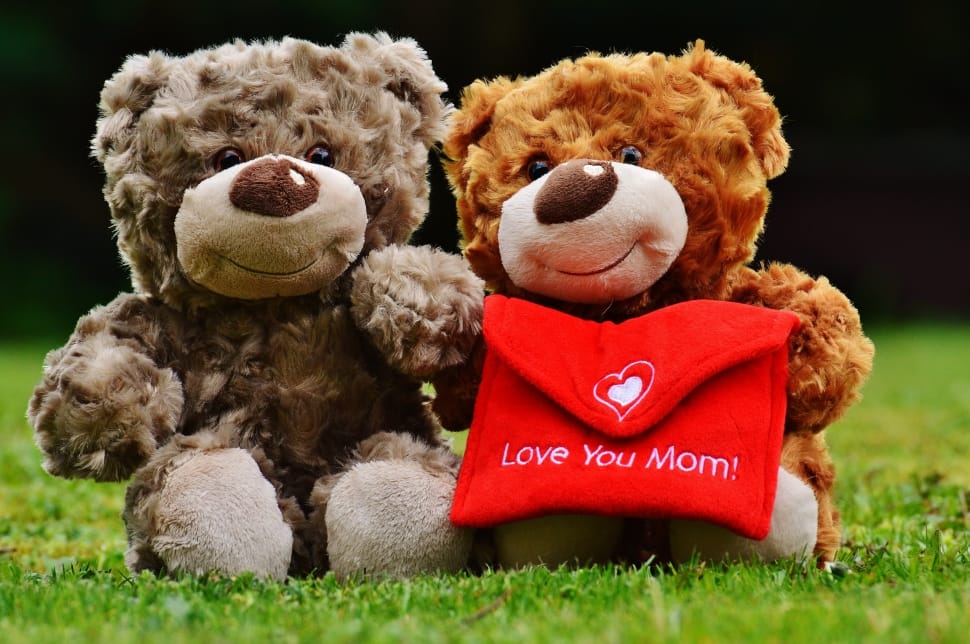 Mother'S Day, Teddy, Love, Mama, teddy bear, stuffed toy preview