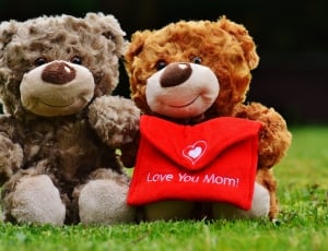 Mother'S Day, Teddy, Love, Mama, teddy bear, stuffed toy thumbnail