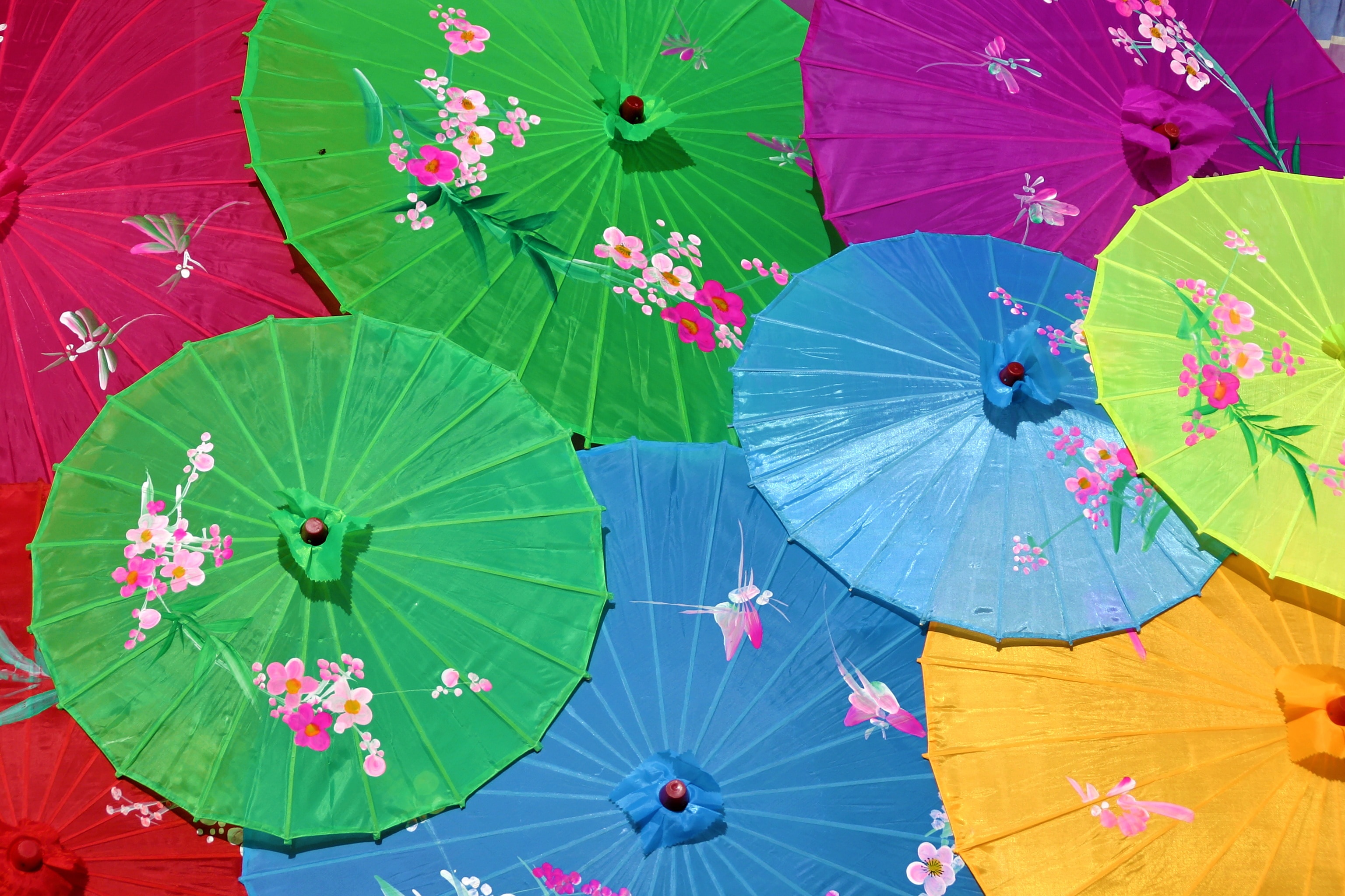 parasol lot