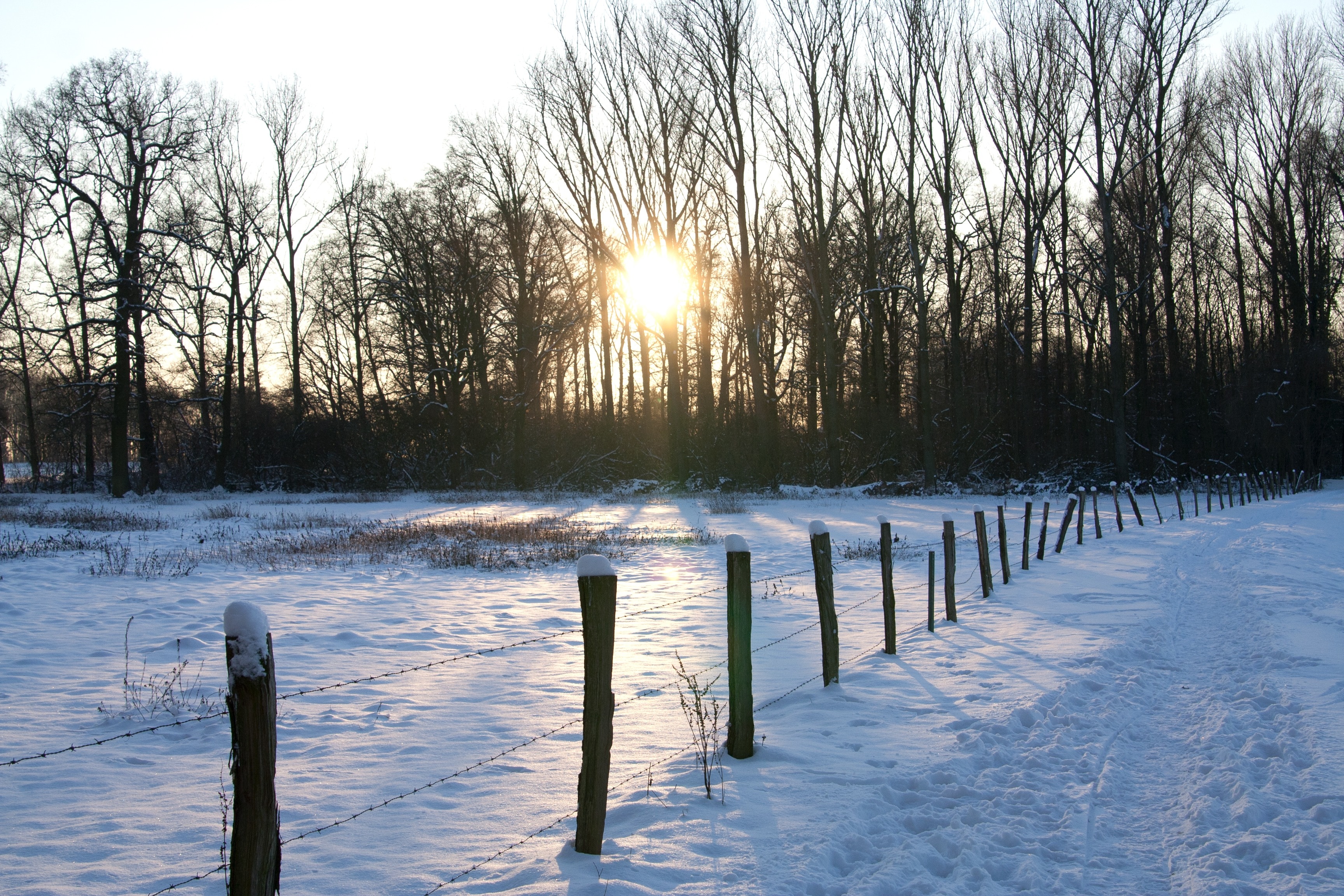 brown wooden and barb wire fence