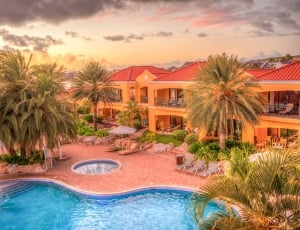 Caribbean, Curacao, Resort, Vacation, palm tree, swimming pool thumbnail
