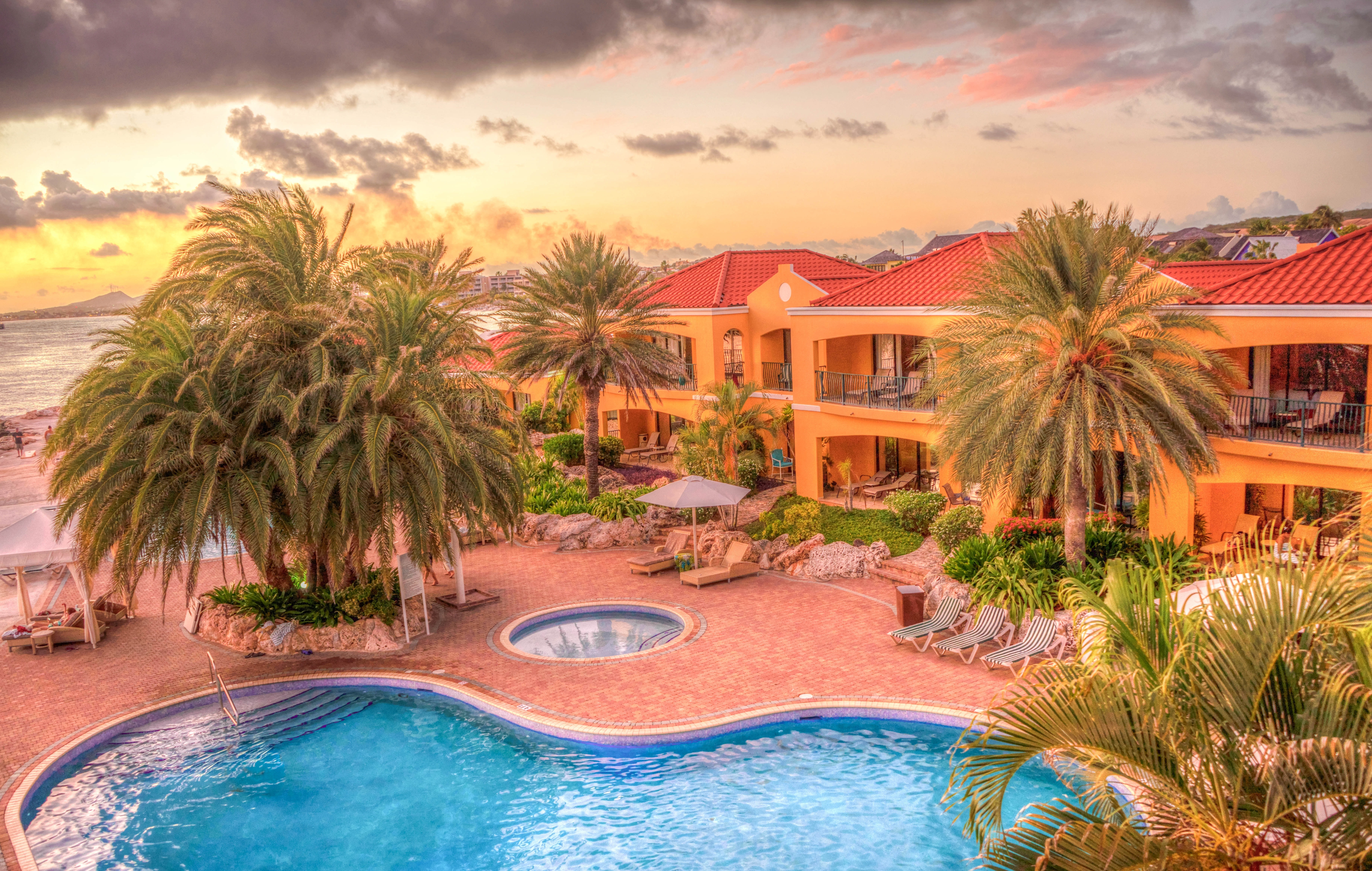 Caribbean, Curacao, Resort, Vacation, palm tree, swimming pool