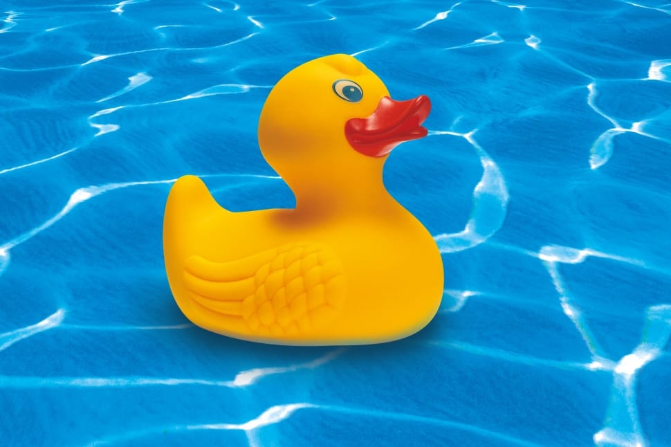 yellow and red rubber ducky preview
